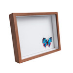 Ahşap Kahverengi Derin Çerçeve Kutu