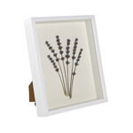 Ahşap Beyaz Derin Çerçeve Kutu