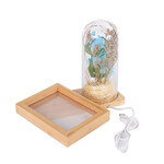 Led'li Ahşap Güllü Cam Fanus Çerçeve