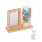 Led'li Ahşap Güllü Cam Fanus Çerçeve