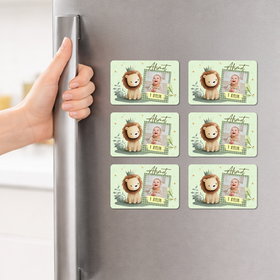 Fotoğraflı Ve İsimli Aslan Figürlü Magnet