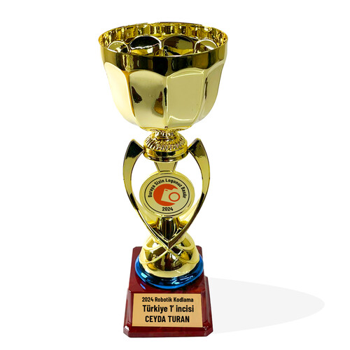 Orta Boy Firmaya Özel Logolu Ödül Kupası