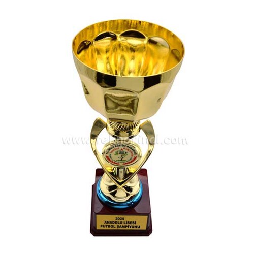 Orta Boy Firmaya Özel Logolu Ödül Kupası